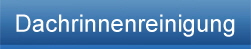Dachrinnenreinigung