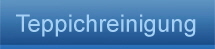 Teppichreinigung-Hover