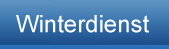 Winterdienst1